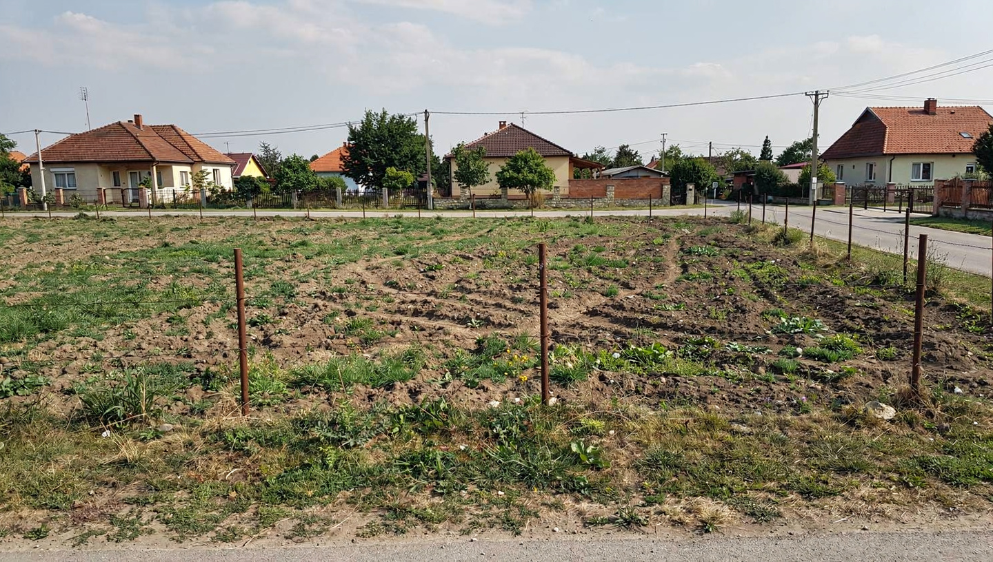 Saroktelek aszfaltos út mellett (Nyíregyháza) — Nyíregyháza