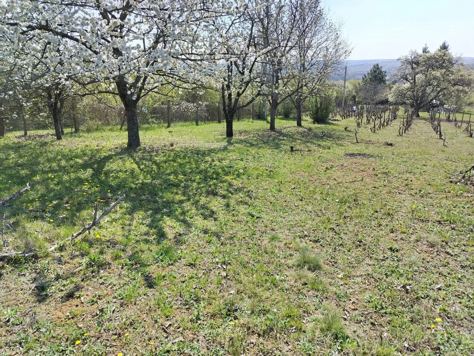 Eladó zártkert · Eger — Eger – Almár